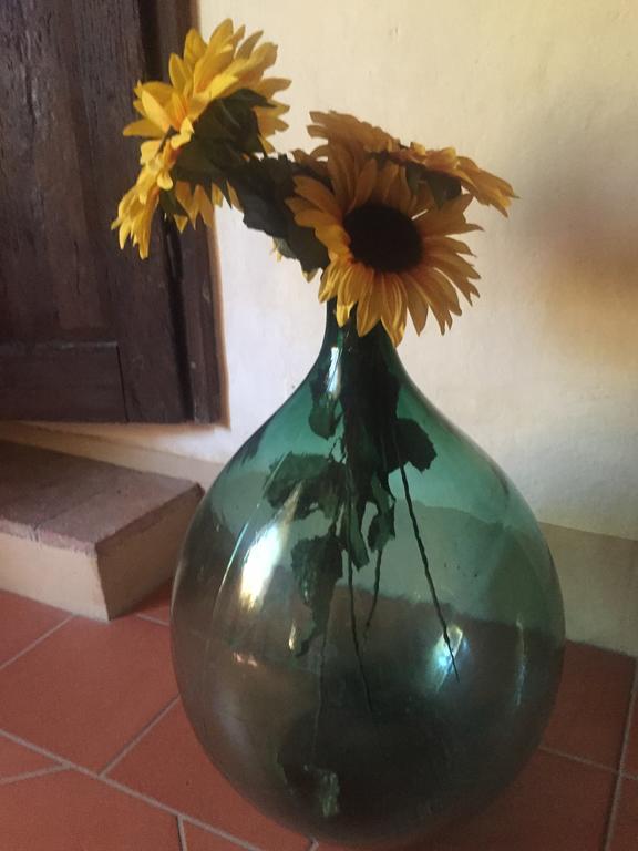 Agriturismo Le Colline มอนเตสกูดาโย ภายนอก รูปภาพ