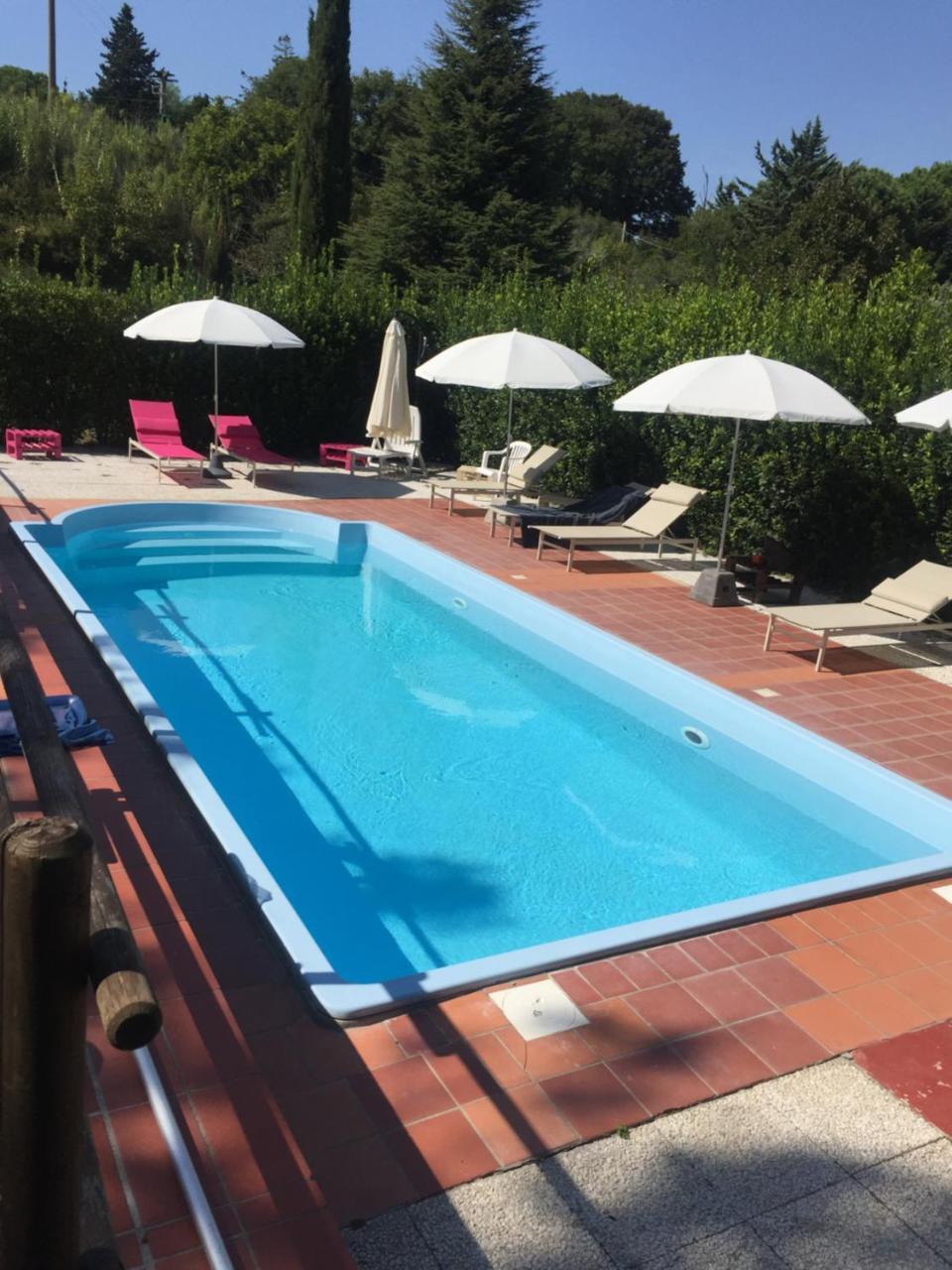 Agriturismo Le Colline มอนเตสกูดาโย ภายนอก รูปภาพ